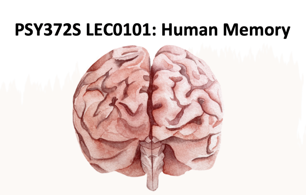 screenshot 2025 09 22 at 10.56.45 am